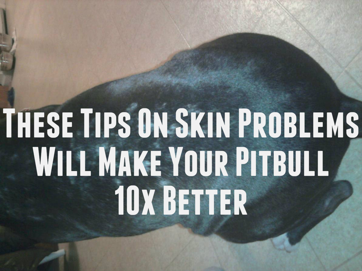 pitbull skin care